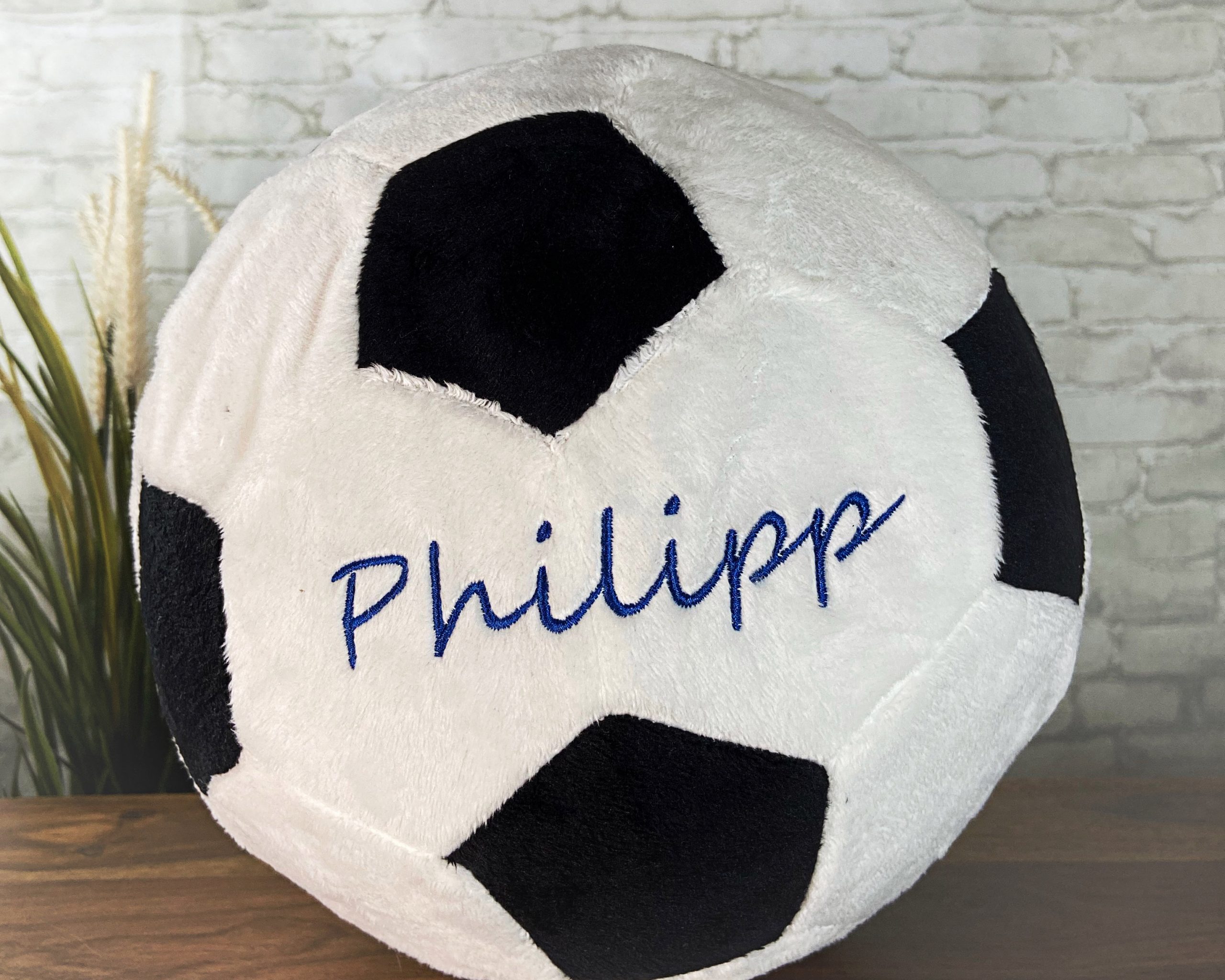 Fußball zoom