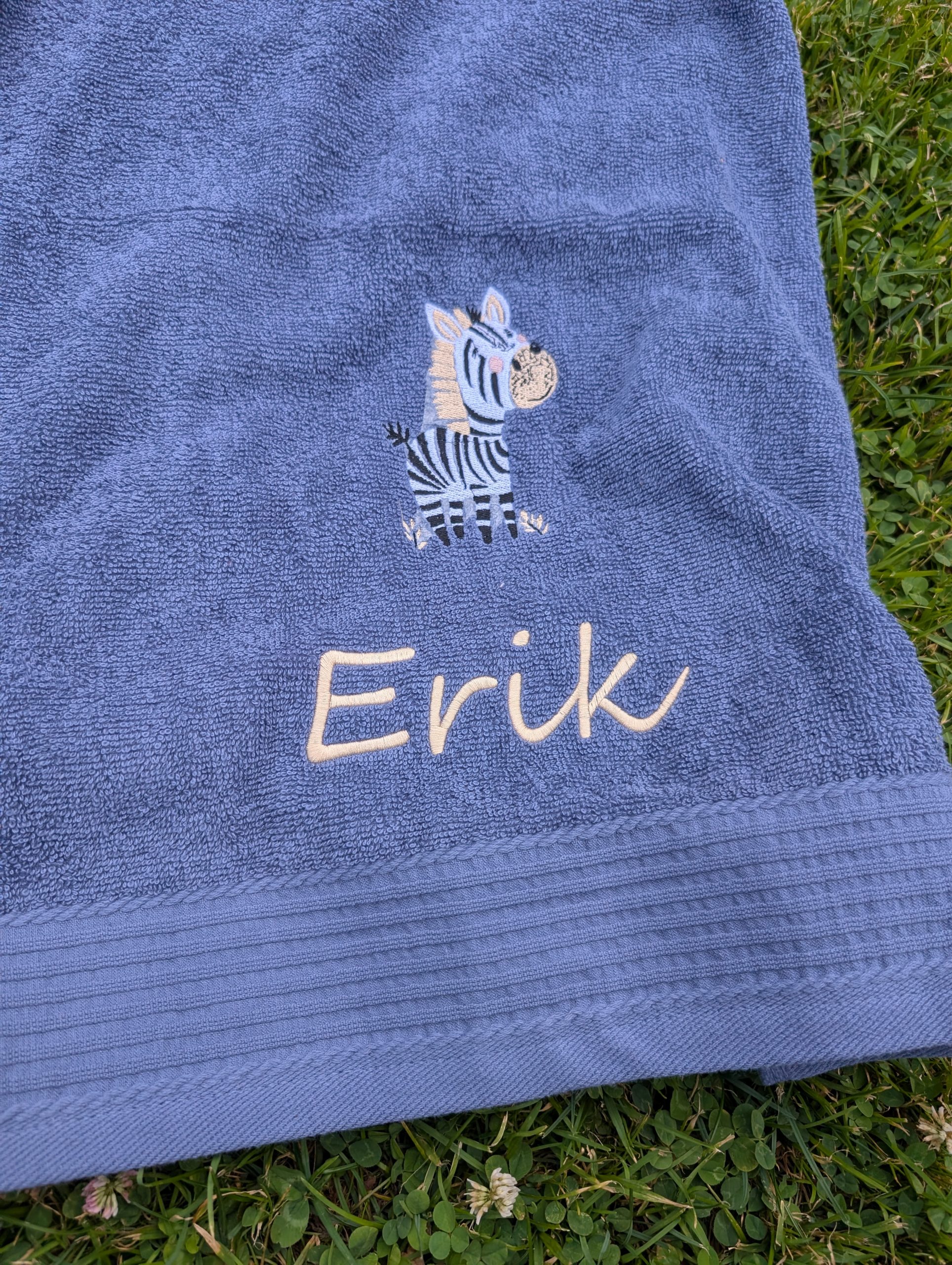 Zebra – Bild 5